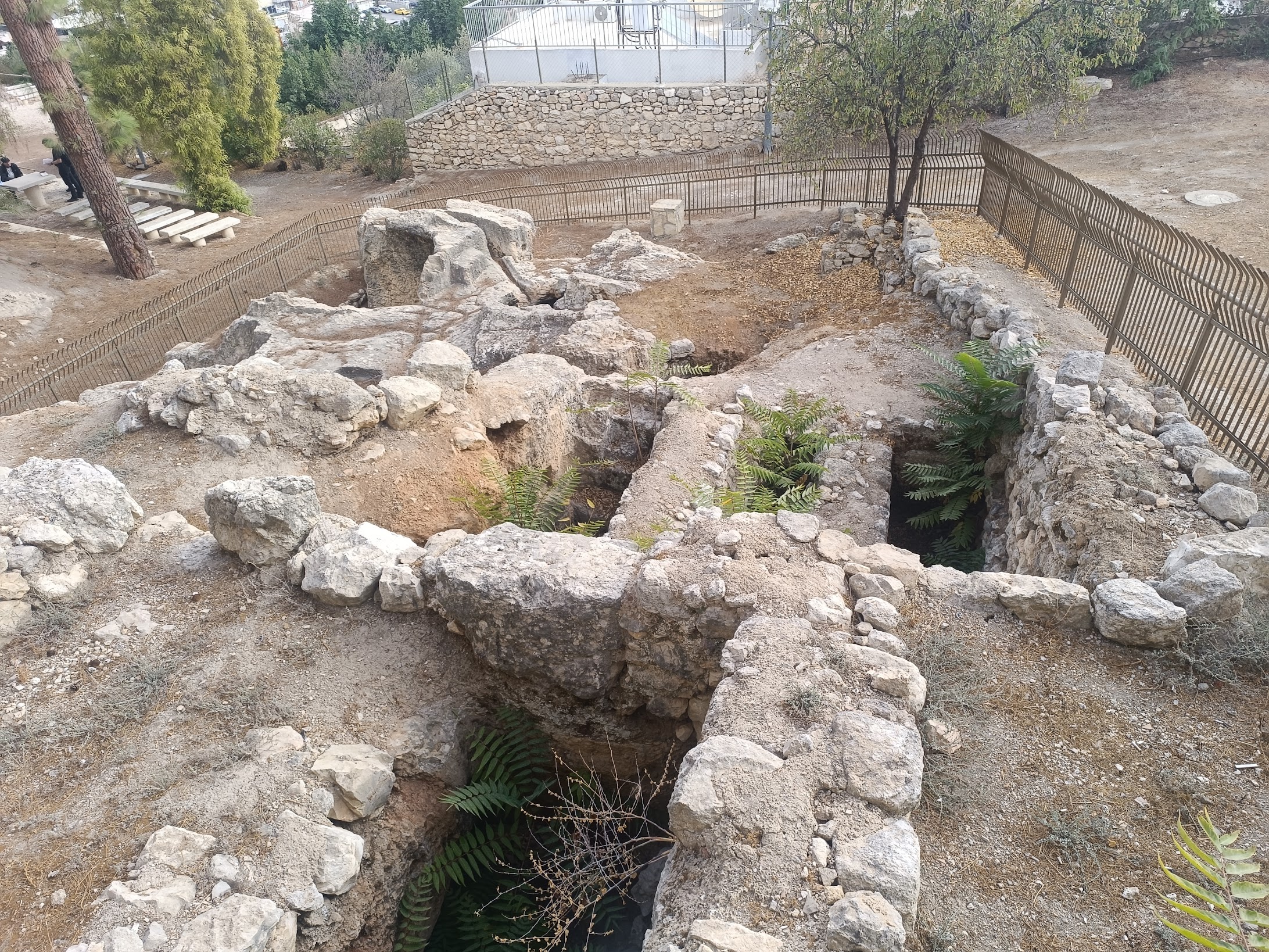 ruth zapata espinoza4