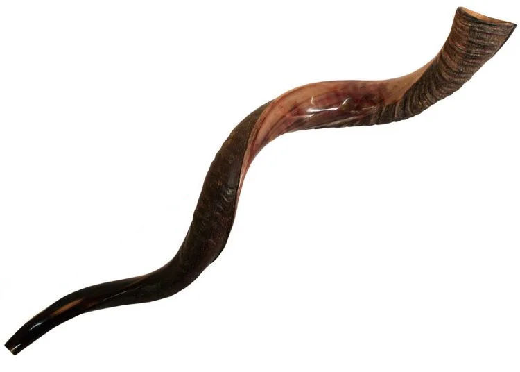Shofar Yemeni Shofar Yemeni