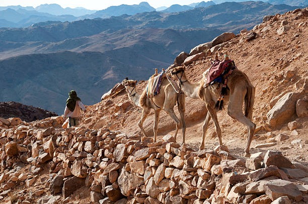 Monte Sinai en Camello