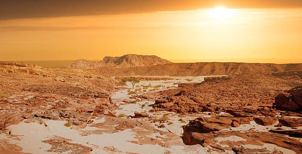 Tarde en el Monte Sinai
